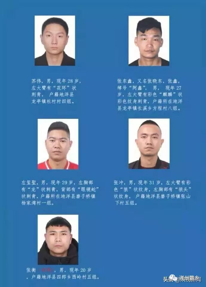 洋县打掉一犯罪集团抓获犯罪嫌疑人5人