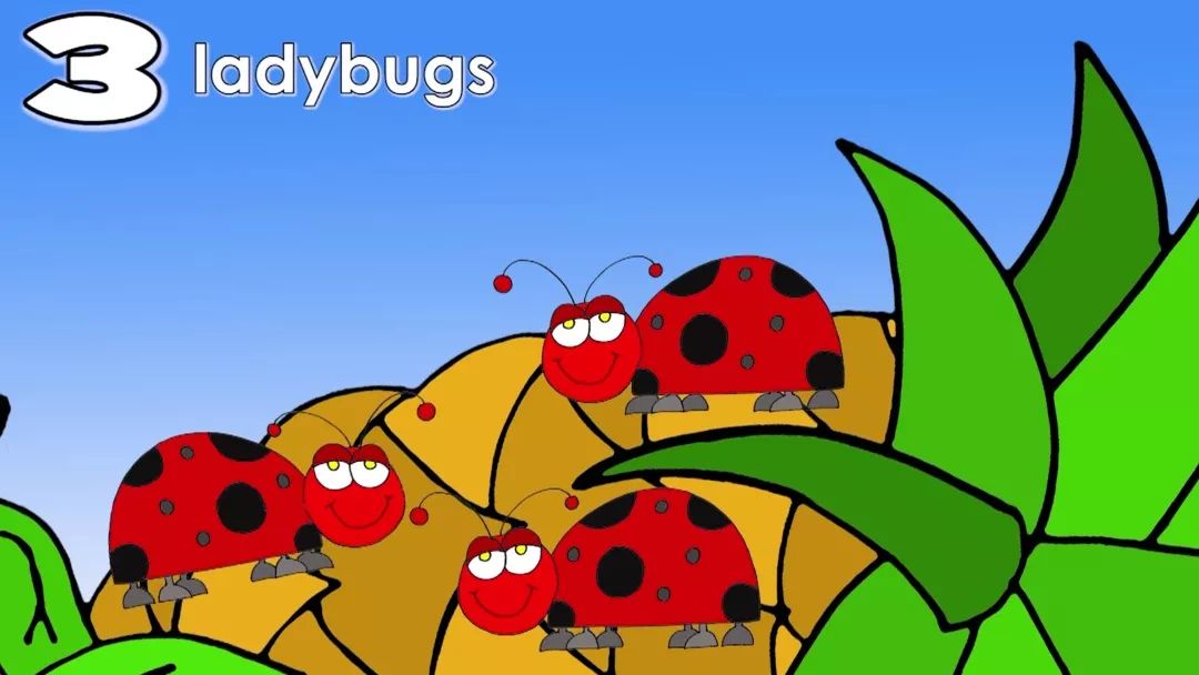 磨耳朵丨theladybugsong3只小瓢虫和菠萝的故事