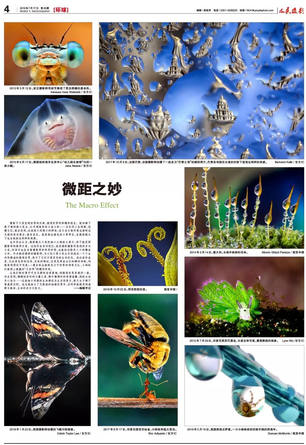 摄影不只是宏观世界的反映,微观世界同样精彩纷呈.