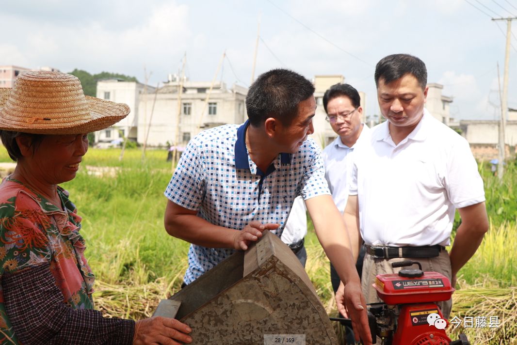 黄振饶到藤县新庆镇调研脱贫攻坚工作
