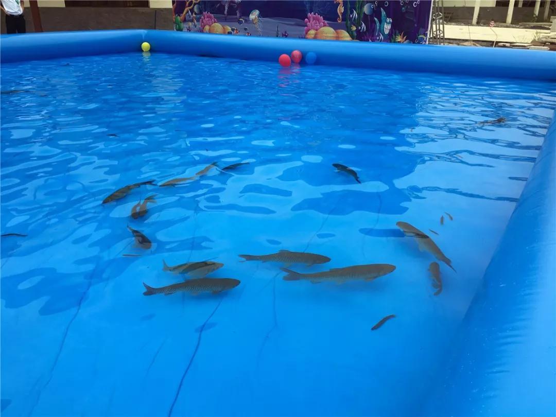 回顾乳源农旅小镇捉鱼活动嗨翻全场有人抓了19斤鱼