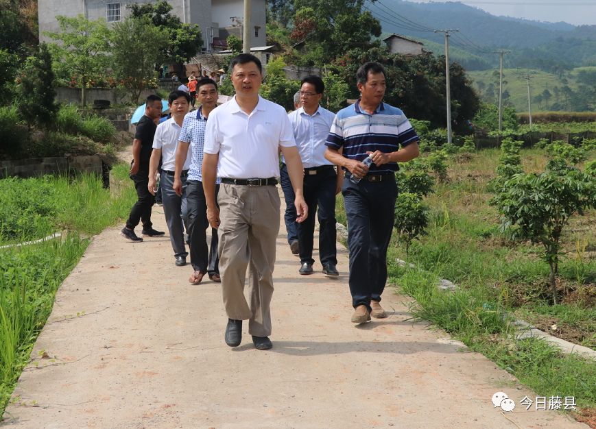 黄振饶到藤县新庆镇调研脱贫攻坚工作