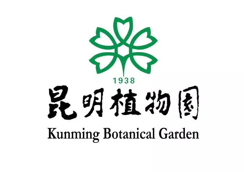 恐龙消失了你们却活着暑期植物园研学之活化石大揭秘
