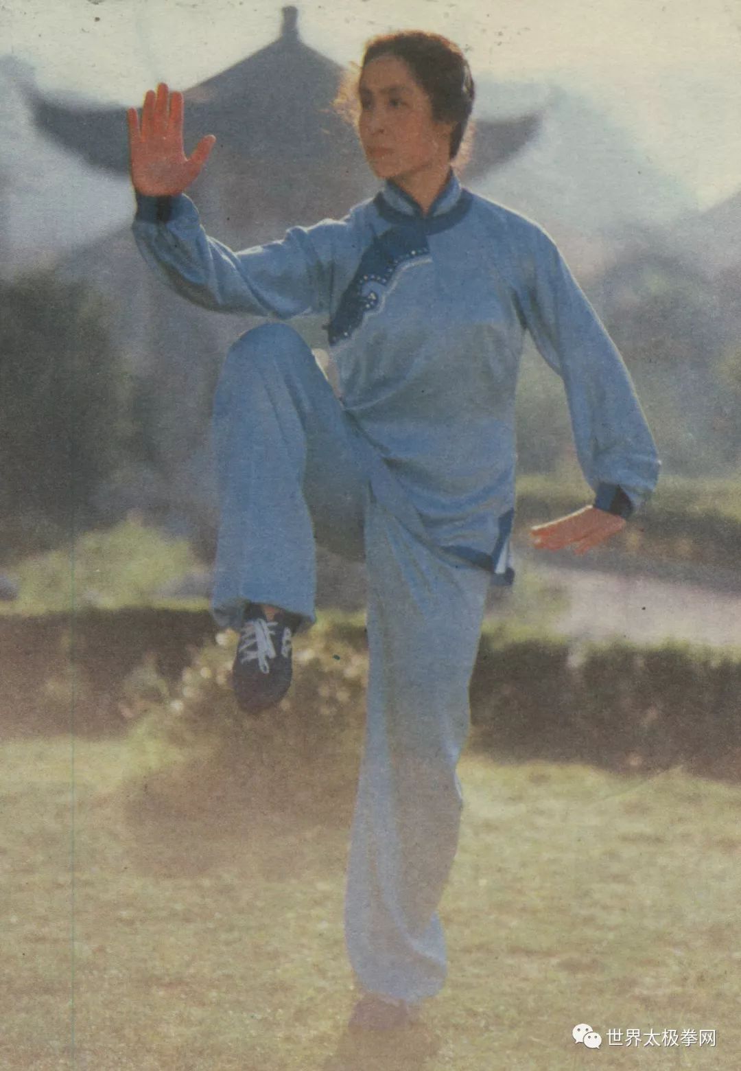 情深功精自芳华——苏自芳对话录(一)_武术