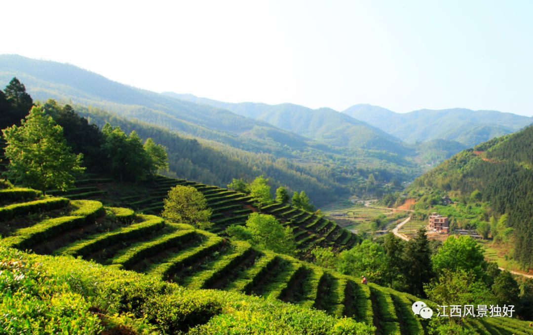 即可享受江西省所有4a級以上收費旅遊景區免大門票優惠,但不包括溫泉