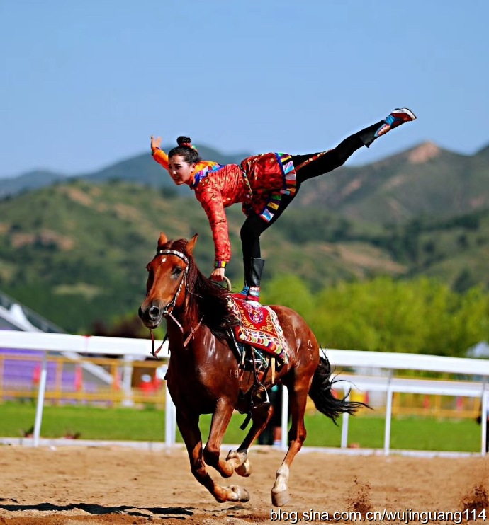 策马奔腾,人马合一,马术盛宴,震撼上演!