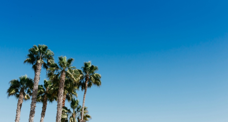 家电大零售商今年变身全国总代理:京东天猫逆势增长的动力-家电圈官网