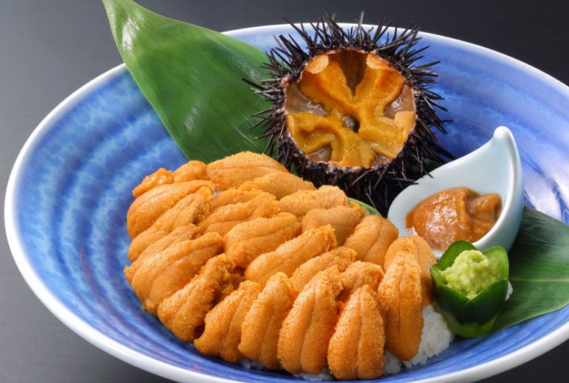 世界各国海胆料理大不同