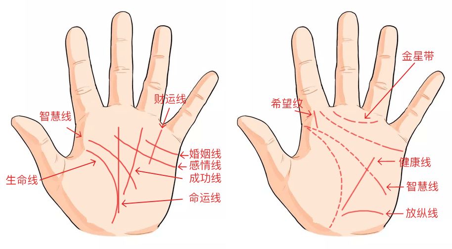 从手相看穿你的事业婚姻财运!准到没朋友