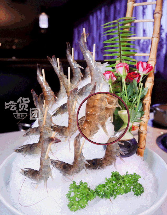 639_820竖版 竖屏gif 动态图 动图