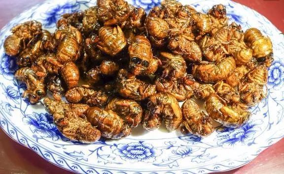 鄄城美食小吃推荐哪个是美食界的终极征服者