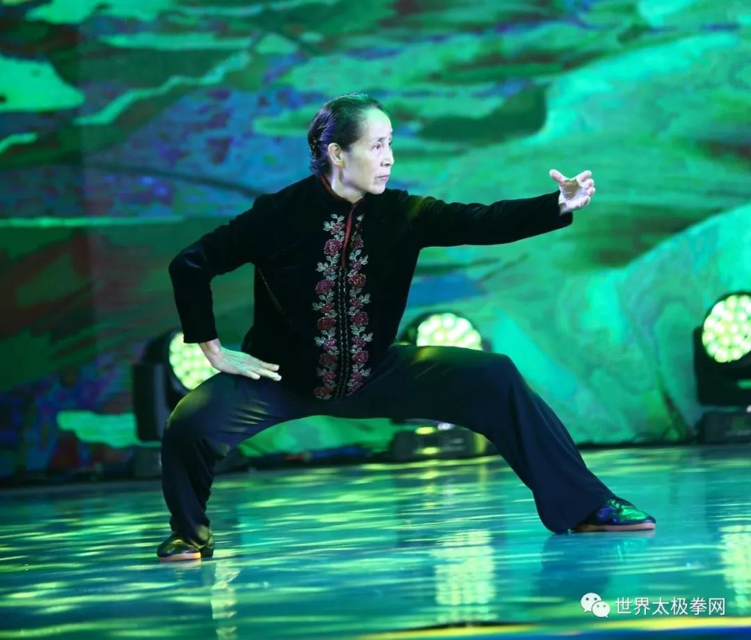 情深功精自芳华苏自芳对话录一