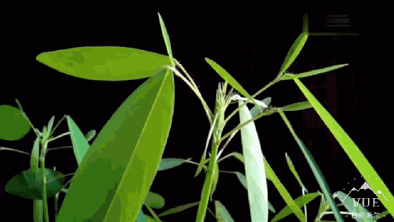 560_316gif 动态图 动图