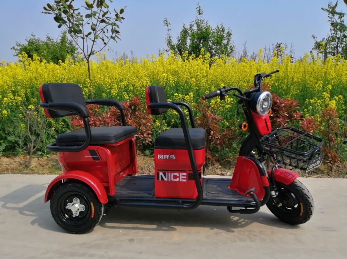 凤祥鸟休闲车激情郑州展!