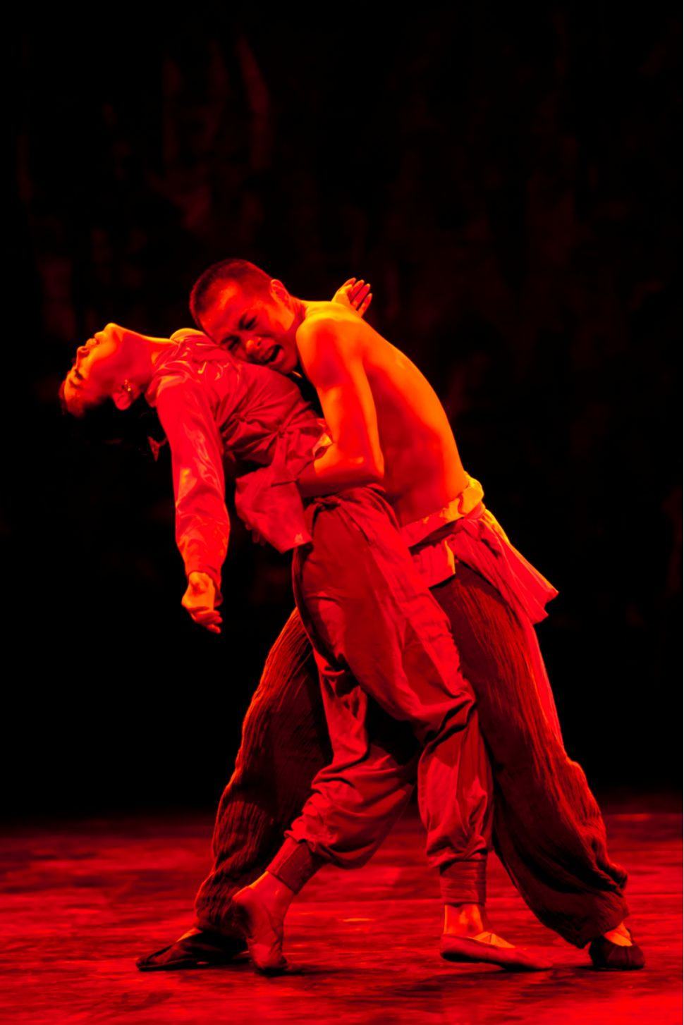 最新开票诺贝尔文学奖得主莫言笔下的红高粱带你感受热血沸腾的原始