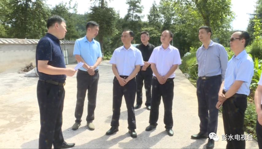 石强调研环境问题整改落实情况 加快建设山清水秀美丽彭水