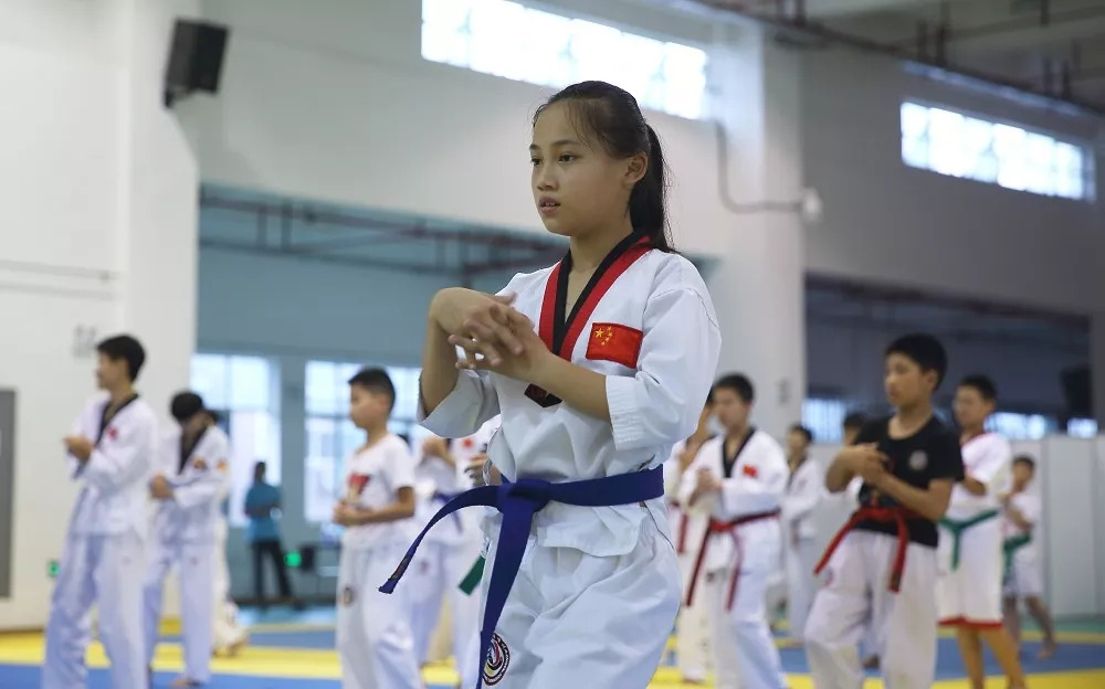 玩转暑期"趣味"夏令营!跆拳道夏令营正式开营啦