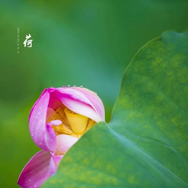 人生,知足常乐