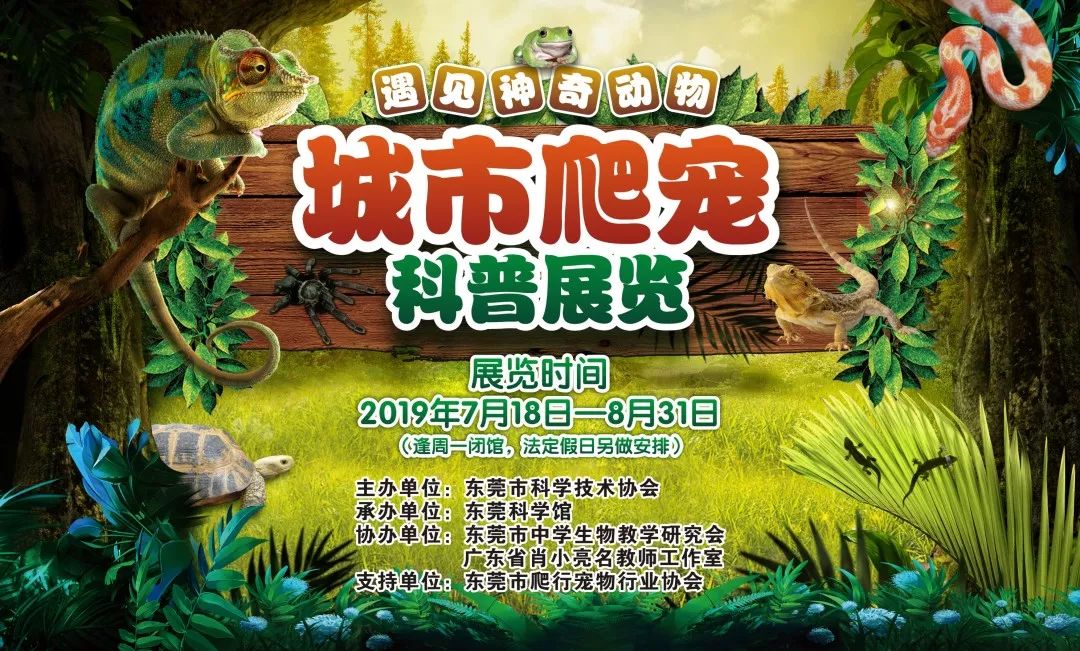 展览预告遇见神奇动物城市爬宠主题科普展览将于7月18日在我馆开展