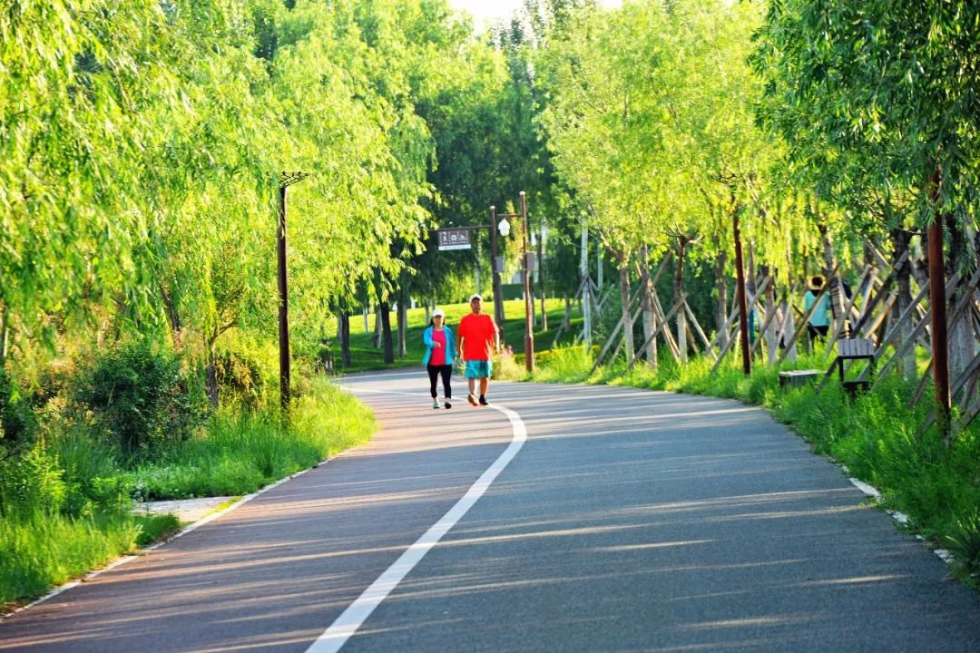 【东河一景】南海晨练