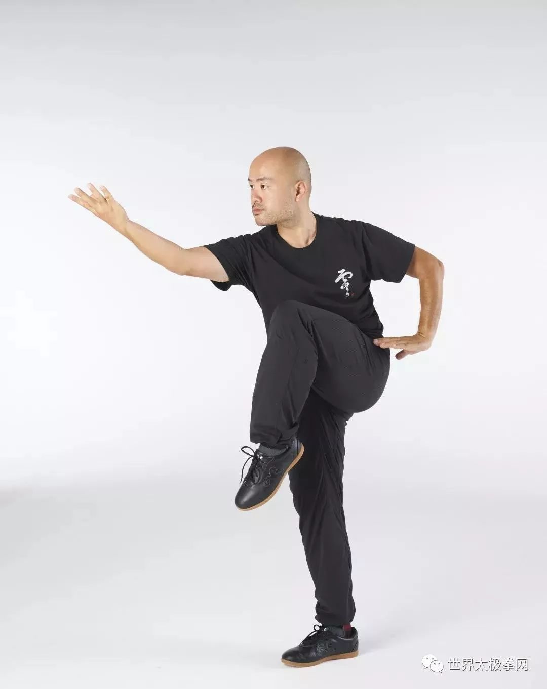 世界太极拳网重磅推出苏自芳内家功夫研修班