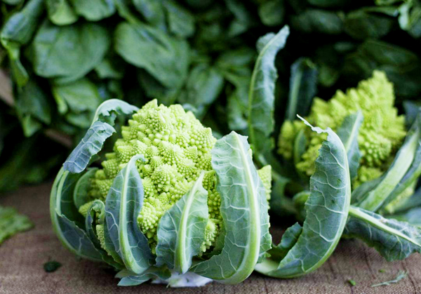 食材分享这个奇形怪状的宝塔花菜你有吃过吗味道很不错哟