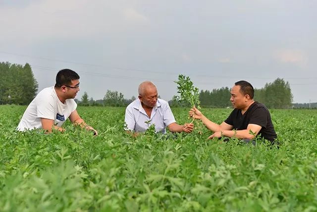 上蔡县齐海乡班庄图片