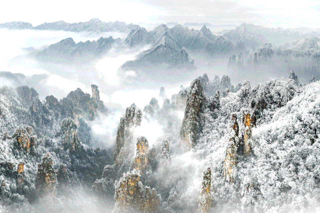 639_426gif 动态图 动图