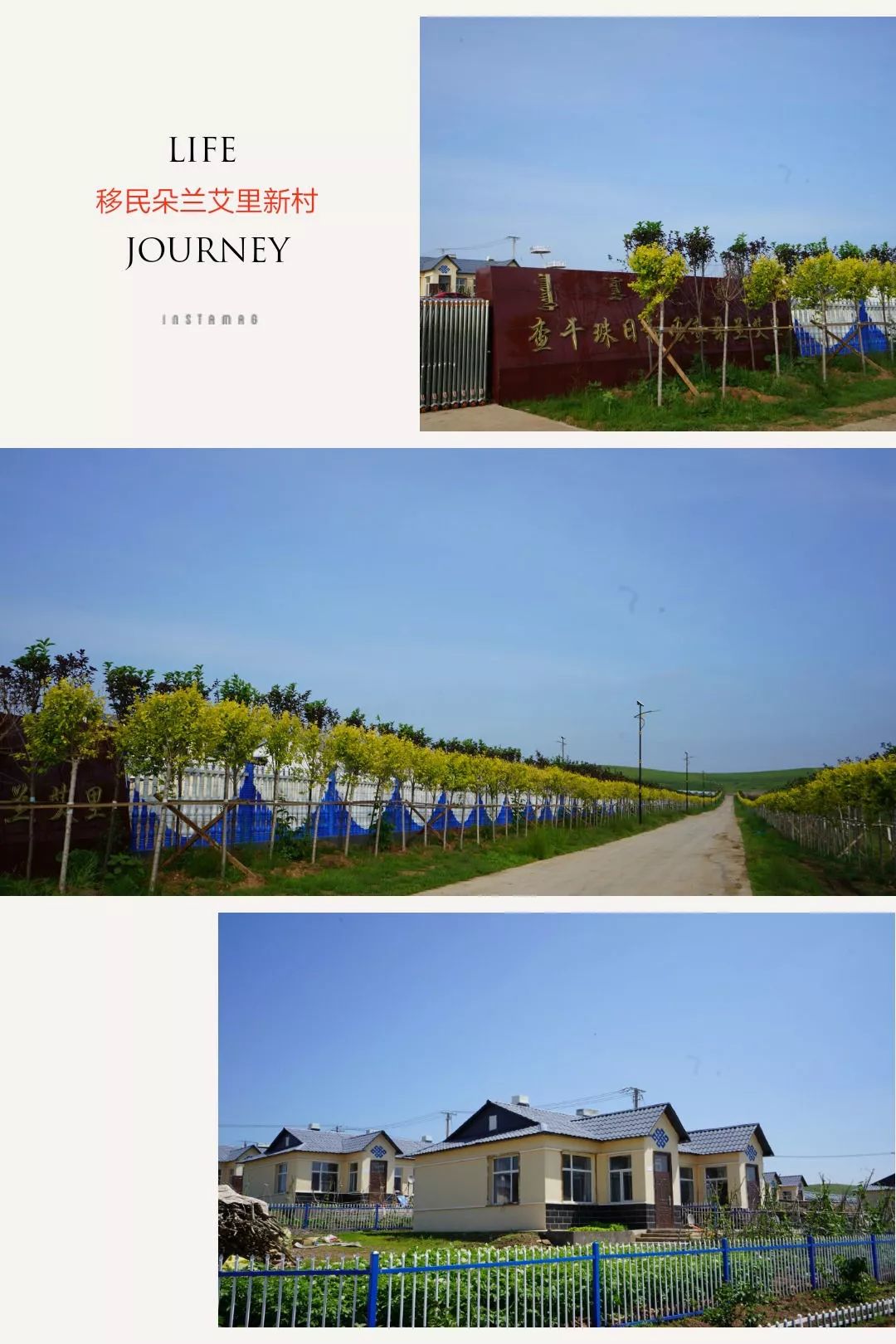 走进岳苏日嘎拉图生活的这座小村庄, 首先映入眼帘的是道路两旁整齐