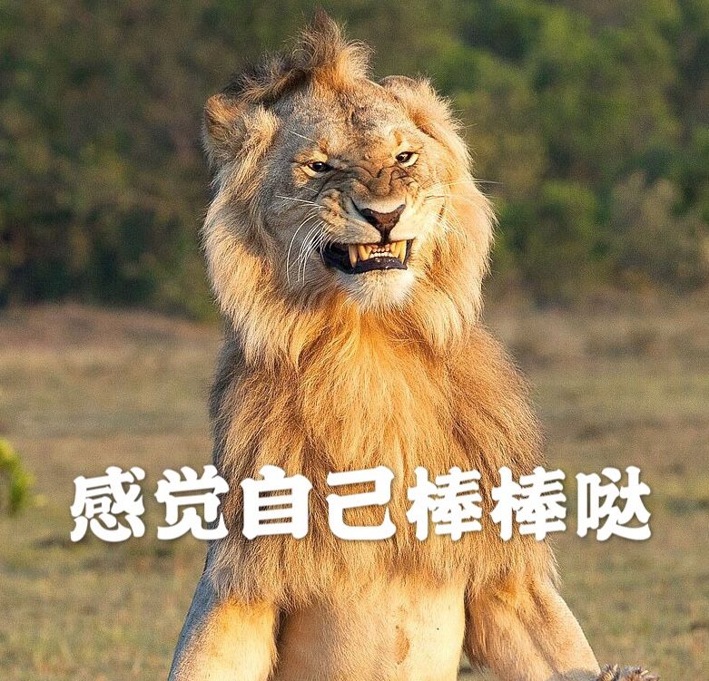 狮子啪啪啪时表情超夸张,网友:看起来很累的亚子