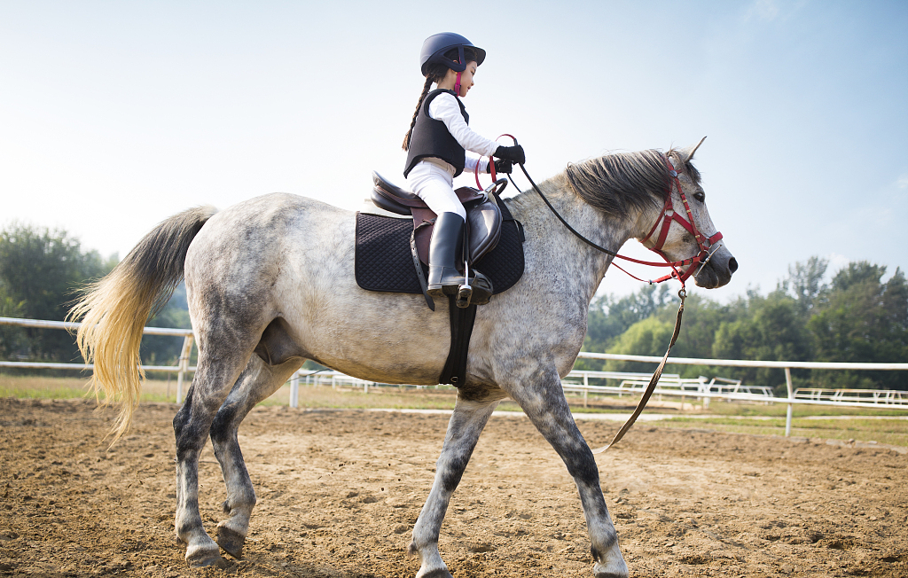 歪打正着学了马术当年我哪里来的胆量让孩子学骑马