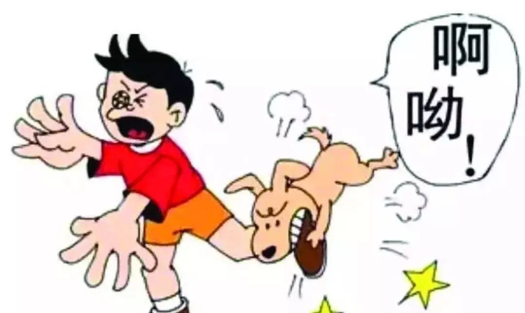 福建:一狗咬伤人主人逃跑还不认账,受害者调出监控告上法庭!