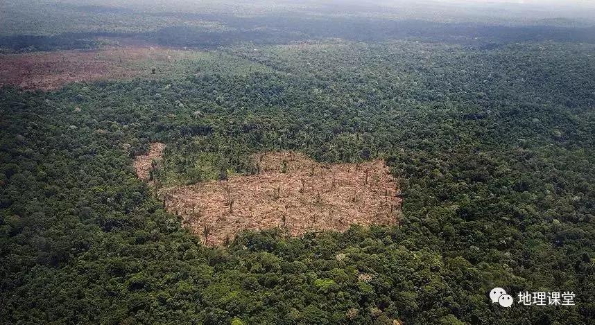 航拍亚马逊雨林采伐活动,触目惊心!_人士