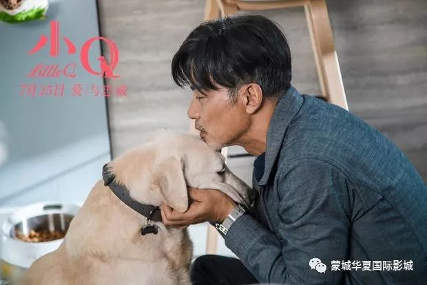 《小q》发终极预告海报 中国版"导盲犬小q"诠释爱与忠诚