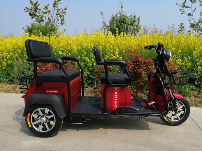 凤祥鸟休闲车激情郑州展!