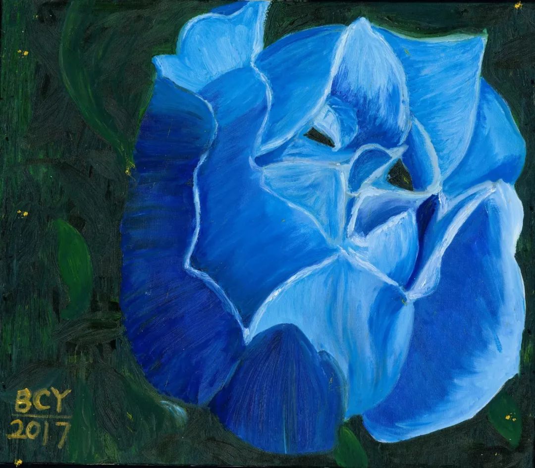 中国的毕加索天才自闭症画家毕昌煜