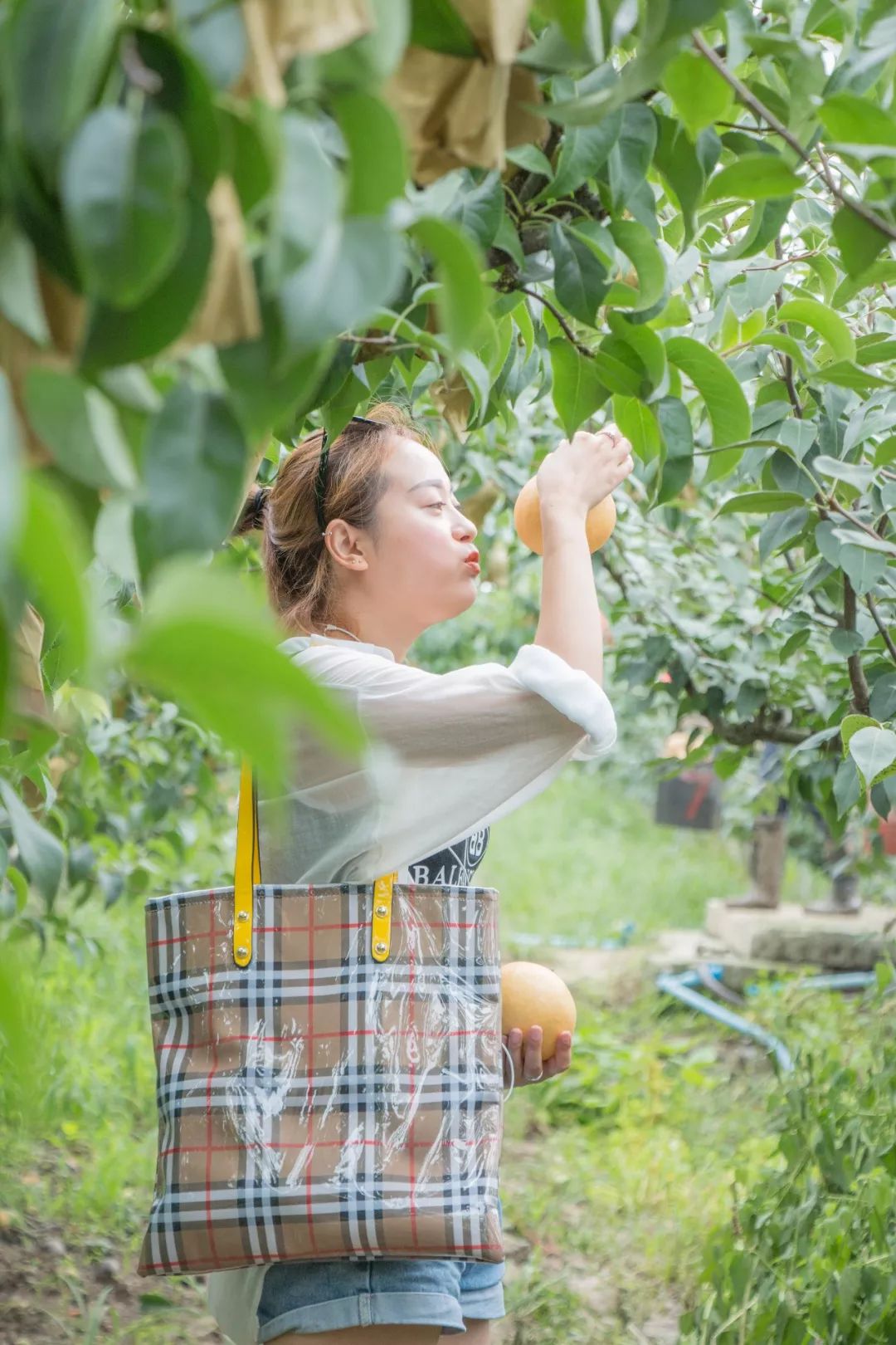 ​德阳城郊有位姓黄的绝世美女正闺中待嫁相当抢手赶紧瞅瞅