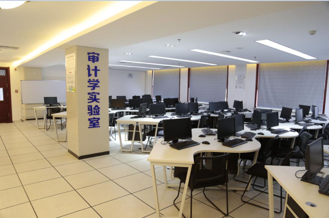 专业风采网红专业审计学