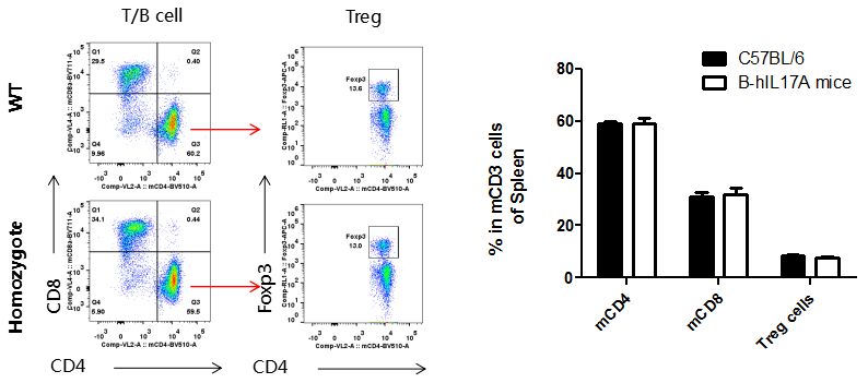4.b-hil17a小鼠t細胞亞群分析(脾臟)