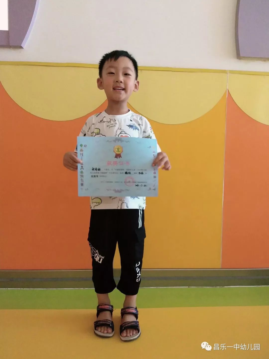 2019逻辑狗大赛来了!