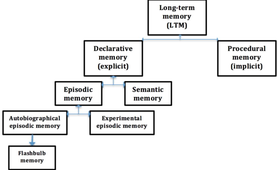 Episodic memory 认知笔记_the