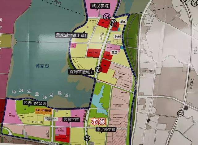 江夏黄家湖未来规划图片