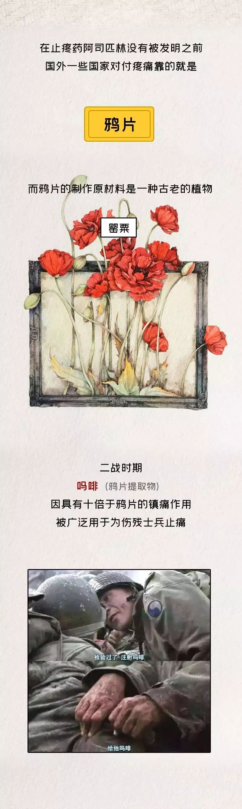 毒品预防教育福州公安触目惊心多图展现毒品演变史