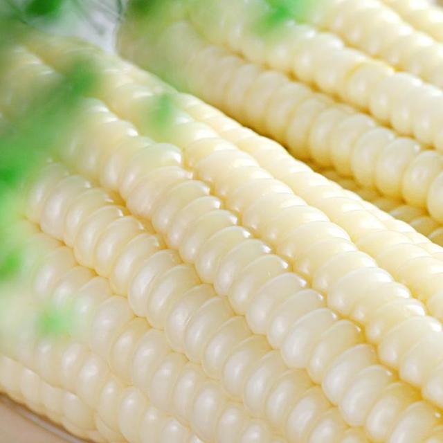 这个白色甜糯型玉米品种的四大优势农户了解下试种下不亏