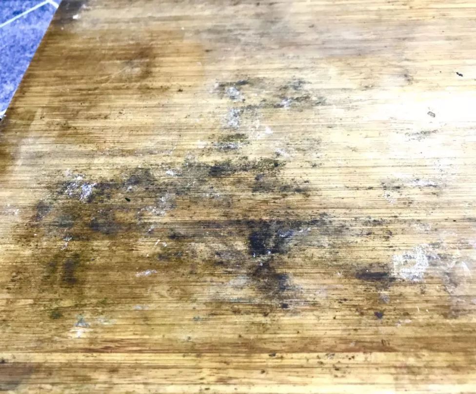 99%抗菌不发霉的菜板,磨刀,打泥,沥水,摆盘样样行_砧板