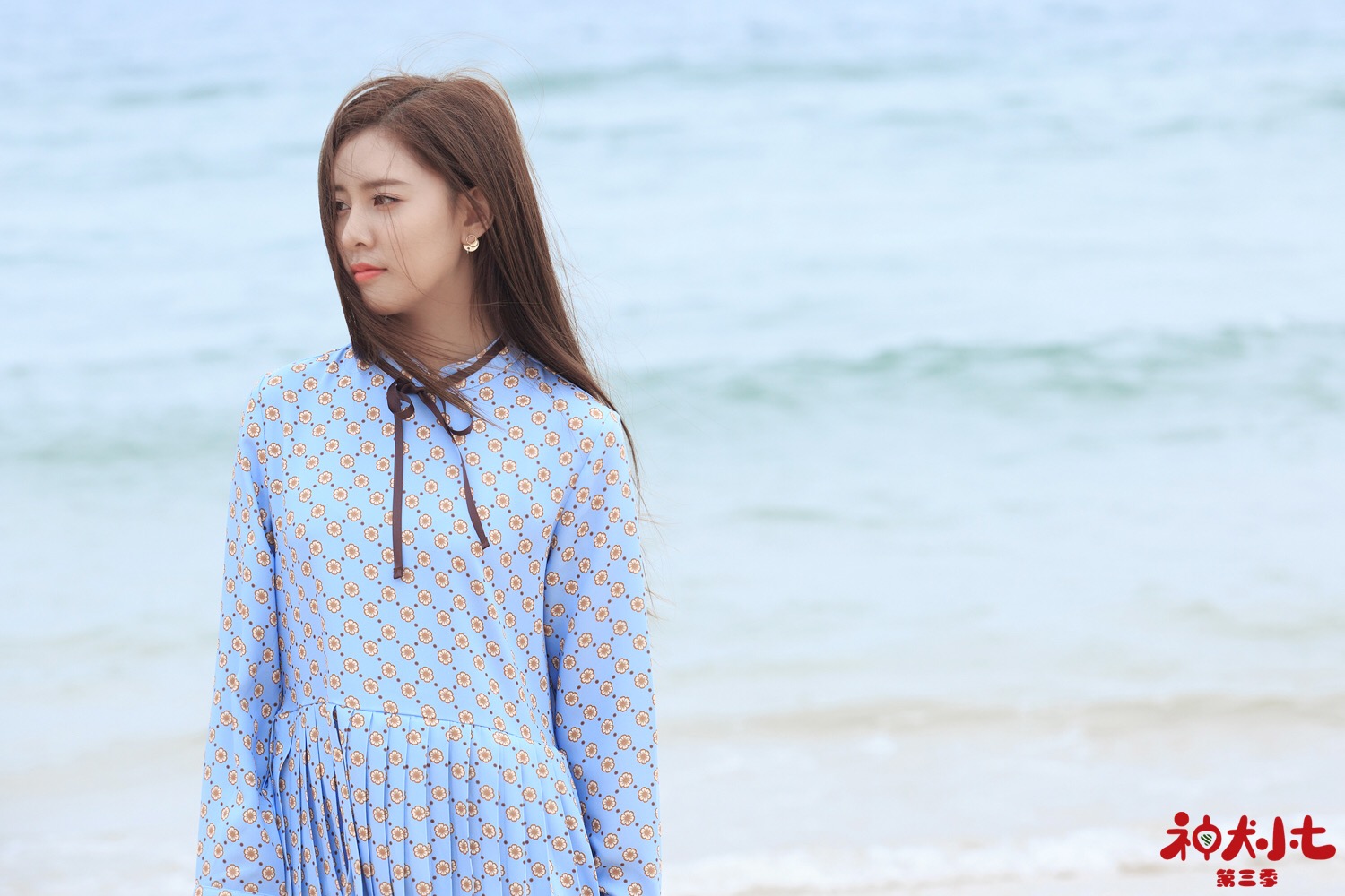 宋妍霏神犬小七3高燃进阶硬核输出爱与温暖