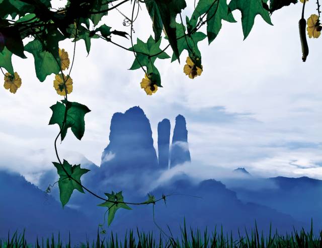 为什么摄影师都喜欢前景构图你呢