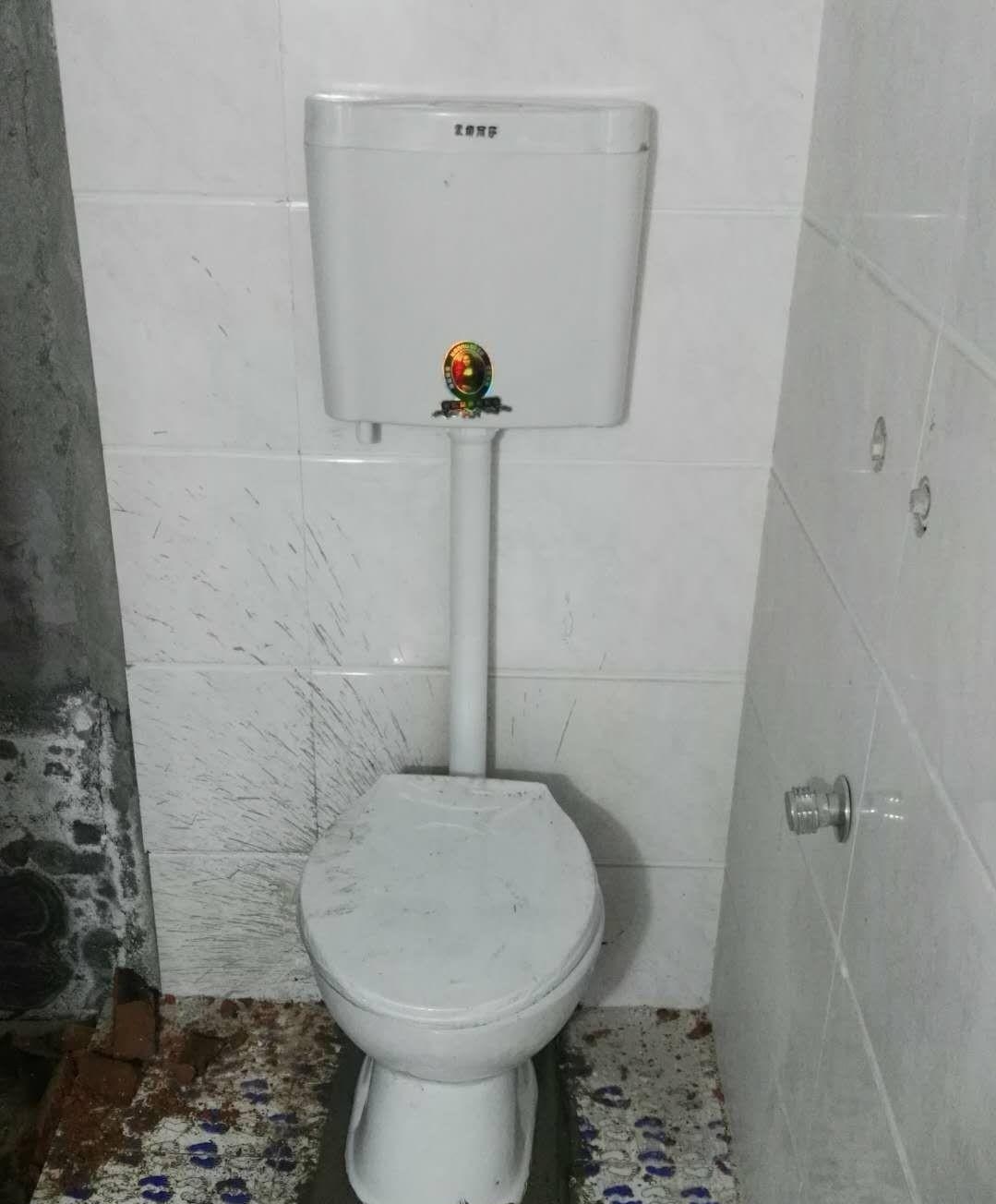 农村改水冲厕能行吗?切合实际不?_厕所