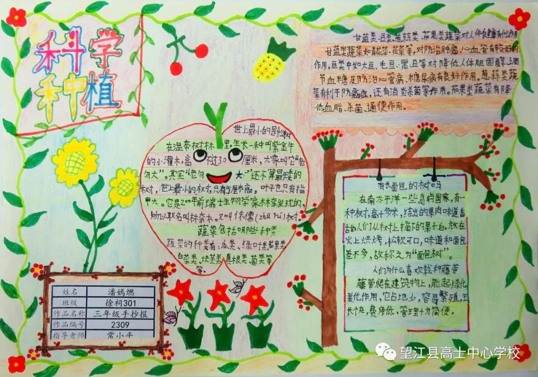 高士中心学校第五届校园文化艺术节作品展示科学种植热爱生活手抄报