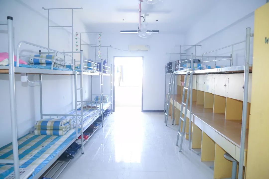 这就是万通十二时辰